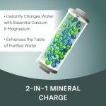 Aquaguard Sure Delight RO+MC 1X Water Purifier